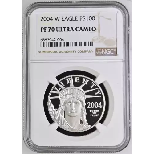 2004 W  ULTRA CAMEO (2)