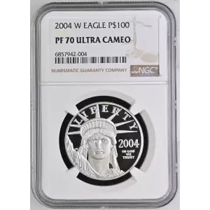 2004 W  ULTRA CAMEO (2)