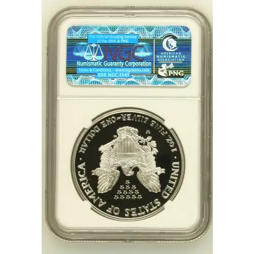 2004 W  ULTRA CAMEO (3)