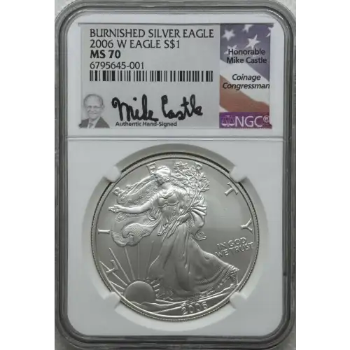 2006 W BURNISHED SILVER EAGLE