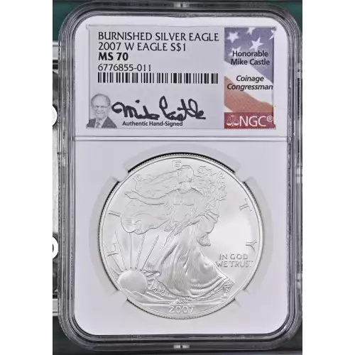 2007 W BURNISHED SILVER EAGLE  (2)