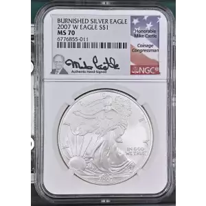 2007 W BURNISHED SILVER EAGLE  (2)