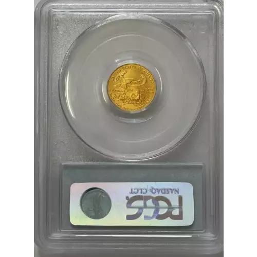 2008-W $5 Burnished Gold Eagle (2)