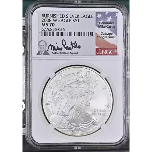 2008 W BURNISHED SILVER EAGLE  (2)