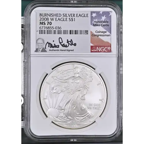 2008 W BURNISHED SILVER EAGLE  (2)