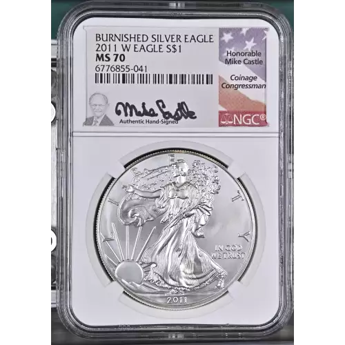 2011 W BURNISHED SILVER EAGLE  (2)