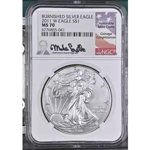 2011 W BURNISHED SILVER EAGLE  (2)