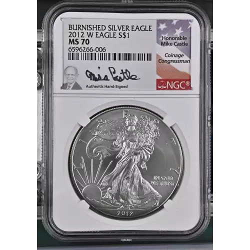 2012 W BURNISHED SILVER EAGLE  (2)