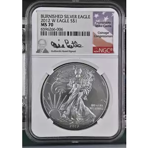 2012 W BURNISHED SILVER EAGLE  (2)