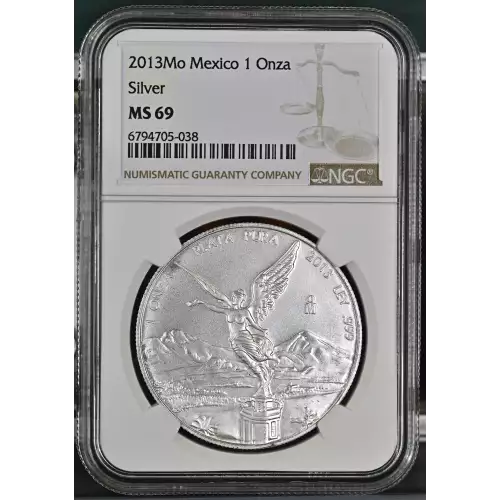 2013Mo SILVER  (2)