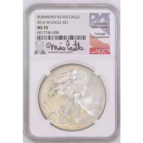 2014 W BURNISHED SILVER EAGLE  (2)