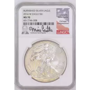 2014 W BURNISHED SILVER EAGLE  (2)