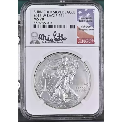 2015 W BURNISHED SILVER EAGLE  (2)