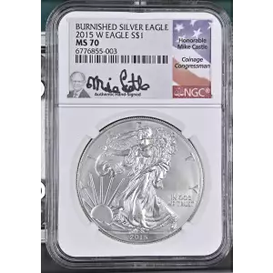 2015 W BURNISHED SILVER EAGLE  (2)