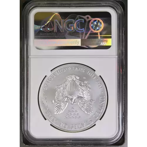 2015 W BURNISHED SILVER EAGLE  (3)