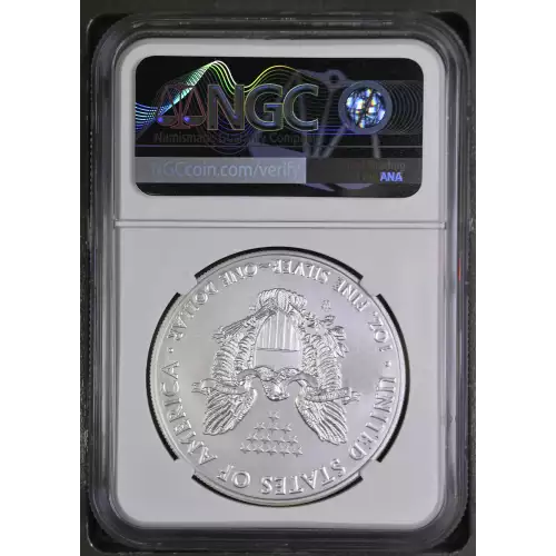 2017 W BURNISHED SILVER EAGLE  (3)