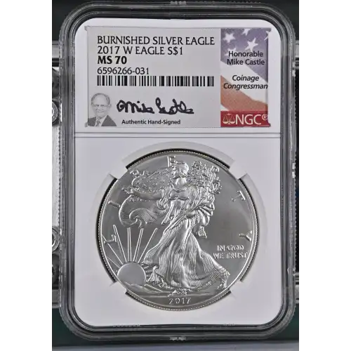 2017 W BURNISHED SILVER EAGLE  (2)