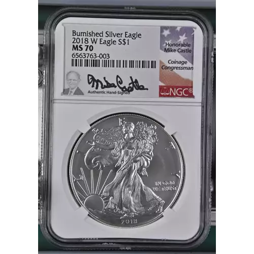 2018 W Burnished Silver Eagle  (2)