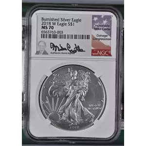 2018 W Burnished Silver Eagle  (2)