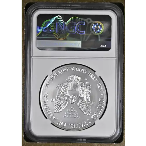 2018 W Burnished Silver Eagle  (3)
