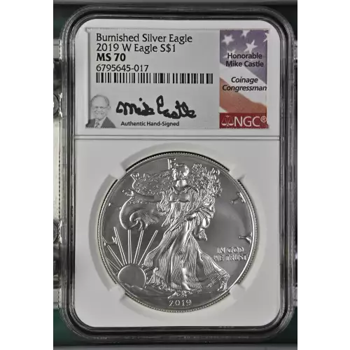 2019 W Burnished Silver Eagle  (2)