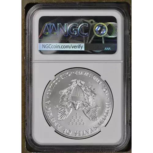 2019 W Burnished Silver Eagle  (3)