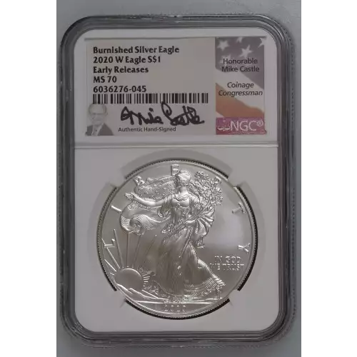 2020 W Burnished Silver Eagle Early Releases  (2)