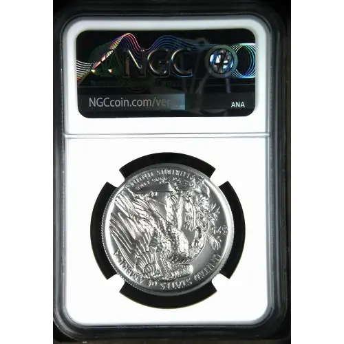 2020 W High Relief Early Releases Burnished Palladium Eagle (3)