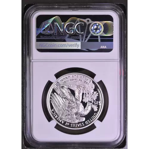 2021 W High Relief 2022 US Mint DC Releases ULTRA CAMEO (3)