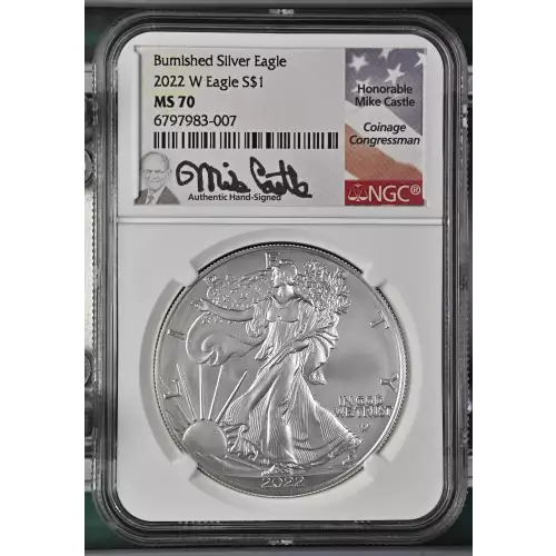 2022 W Burnished Silver Eagle  (2)