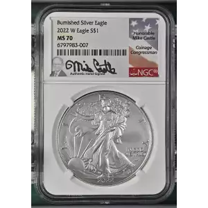 2022 W Burnished Silver Eagle  (2)