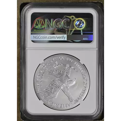 2022 W Burnished Silver Eagle  (3)