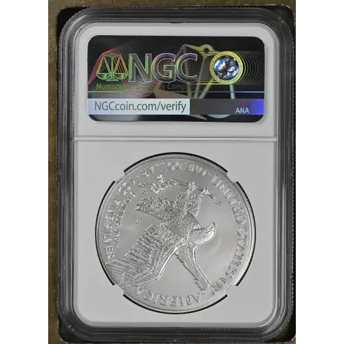 2022 W Burnished Silver Eagle  (3)