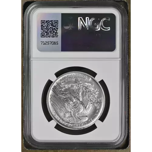 2023 W High Relief Burnished Palladium Eagle  (3)