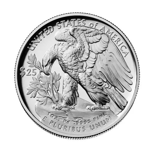 2024 1oz American Palladium Eagle [DUPLICATE for #2305] (3)