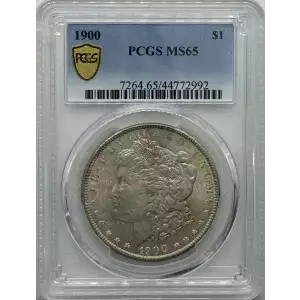 Morgan Silver Dollar